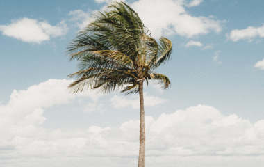 Mediunidade não desenvolvida vira ansiedade